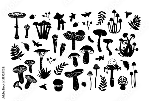 A big collection of dark silhouettes of various mushrooms isolated on a white background. Great for icons, culinary website design, menus, books, autumn projects, educational materials