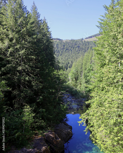 Summer perspective of peaceful mountain river