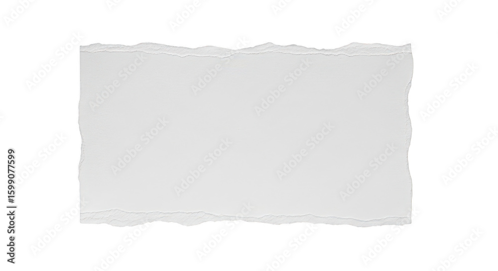 Fototapeta premium Torn White Paper Texture On Black