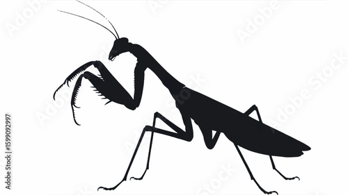 Black praying mantis silhouette in defensive pose on a clean white background