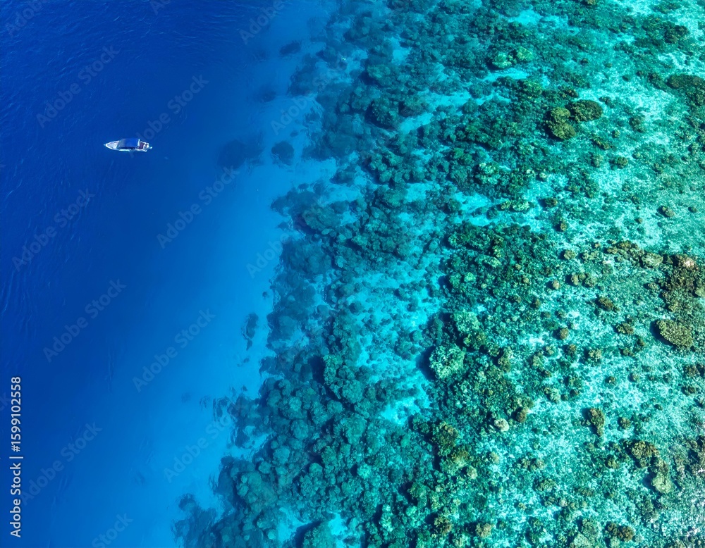 Fototapeta premium Aerial view of a boat on vibrant blue ocean water next to a shallow, colorful coral reef. Tropical paradise scene showcasing diverse marine ecosystem.
