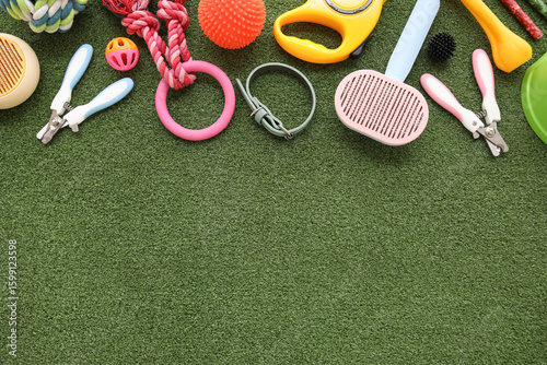 Different pet accessories o...