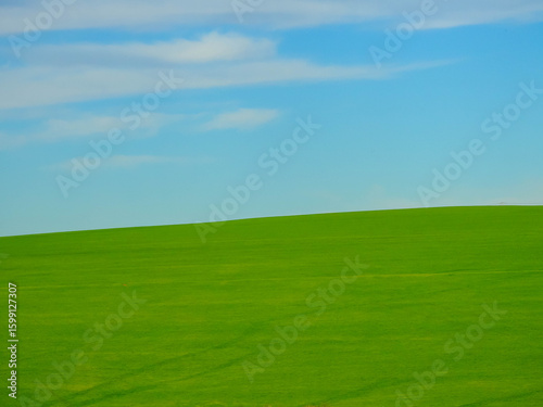 Fotografi Campo verde sob céu azul limpo — paisagem natural minimalista