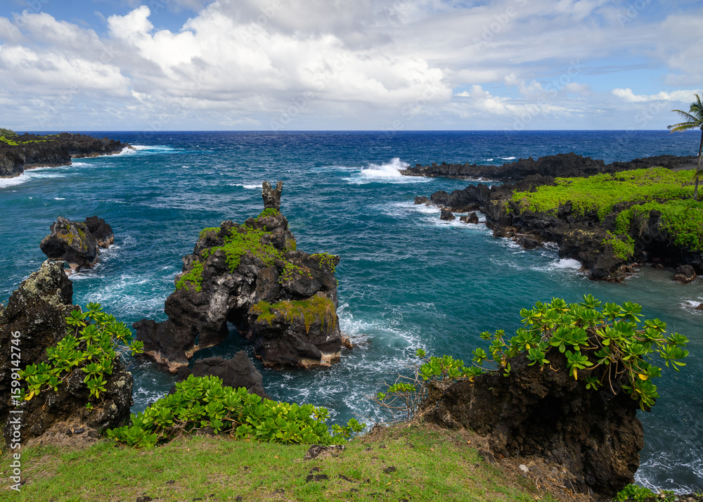Naklejka premium Tropical paradise on the island of Maui, Hawaii. Wai'anapanapa State Park. 
