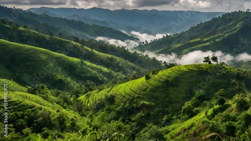 Fototapeta Naklejka Na Ścianę i Meble -  Rolling hills of Bandarban with clouds floating over green forested slopes