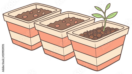 Three pots with seeds and one sprouting plant