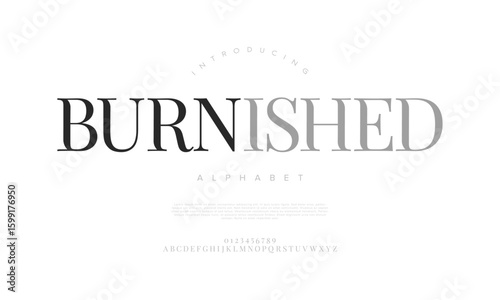 Elegant serif font with gradient detail, perfect for luxury branding and editorial design