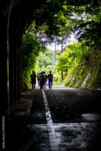 Wallpaper Mural 鎌倉2566　佐助隧道 Torontodigital.ca