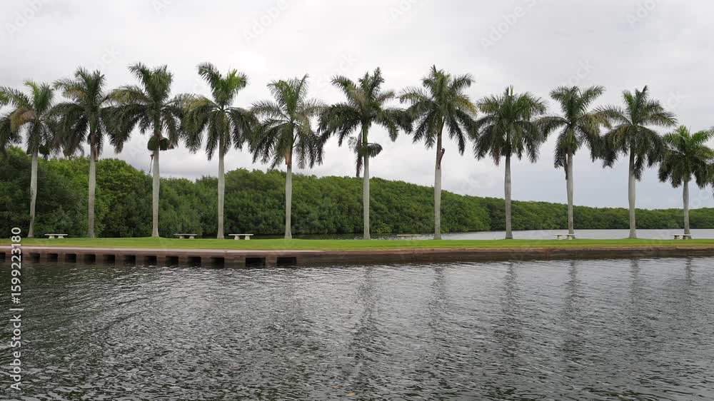 PalmTreeFL_Sony25_23 PalmTreeFL_Sony25_23