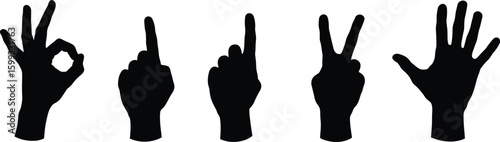 Heart hands silhouette, black and white photo, romantic gesture, love symbol, non-verbal communication, emotional expression, isolated on white, hand pose, couple harmony, body language, 