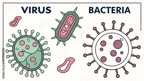 Illustration showing the difference between virus and bacteria with their structures and shapes