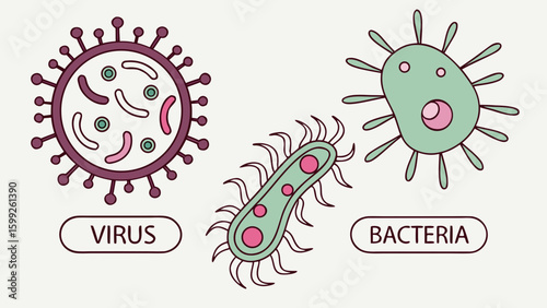Illustration showing different types of microorganisms including virus and bacteria with labels beneath them