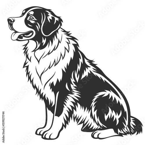 A black and white vector illustration depicts a fluffy dog sitting calmly
