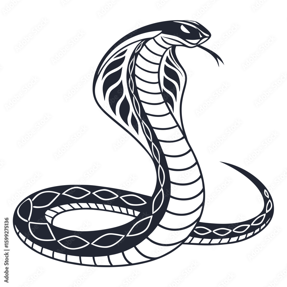 Fototapeta premium A black and white vector illustration of a cobra snake with its hood extended
