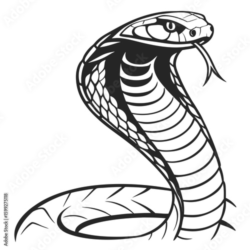 A striking cobra with its hood flared and tongue out is depicted in black and white