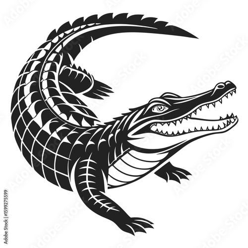 A formidable alligator with its mouth open displaying its sharp teeth is poised