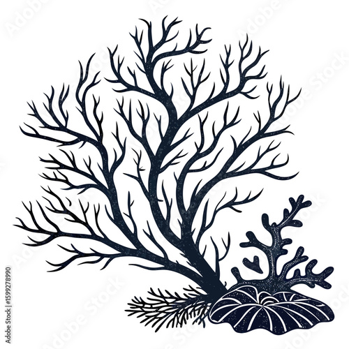 A black and white vector illustration of coral and seaweed forming an underwater