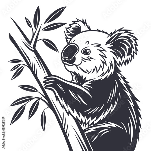 A black and white koala is clinging to a eucalyptus tree branch surrounded by