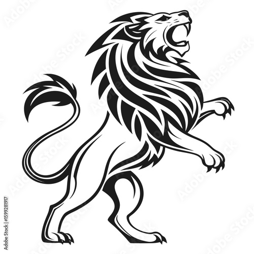 A fierce lion roaring while standing on its hind legs with a white background