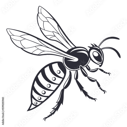 A black and white illustration of a wasp with detailed wings and a striped abdomen