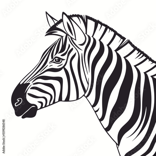 A black and white illustration shows the side profile of a zebras head