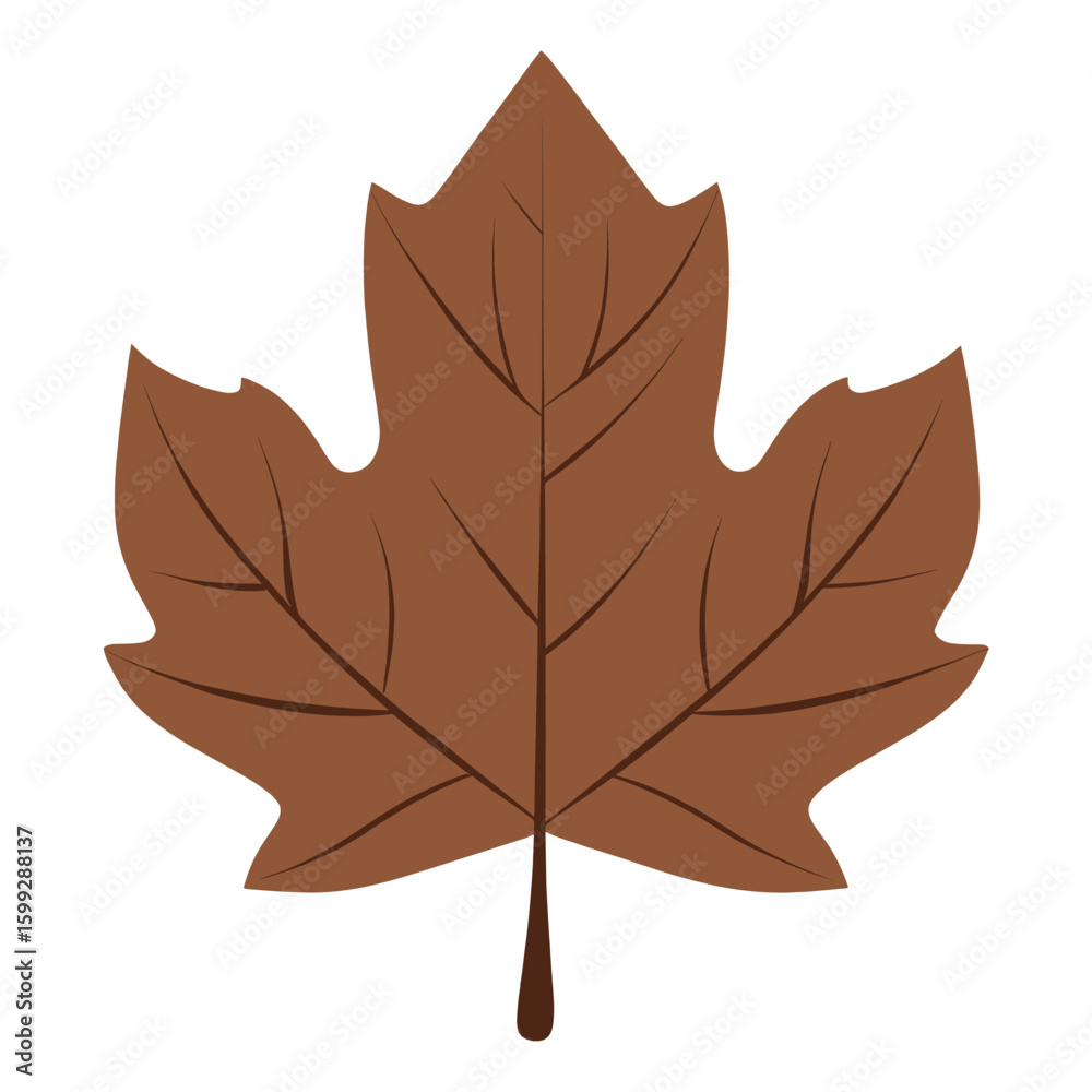 Obraz premium Brown maple leaf illustration simple autumn vector