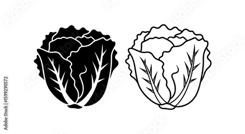Illustration of two napa cabbages one solid black and one with a black outline