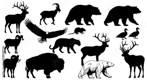 set of animals vector icon , Silhouette illustration featuring a variety of north american wildlife 


