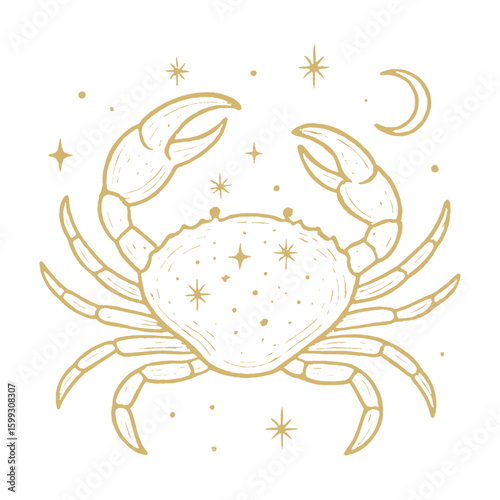 Celestial crab cosmic illustration vector