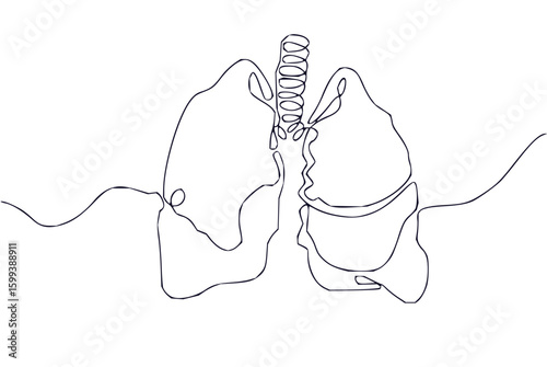 Continuous line drawing of human lungs and trachea on a white background artistic representation