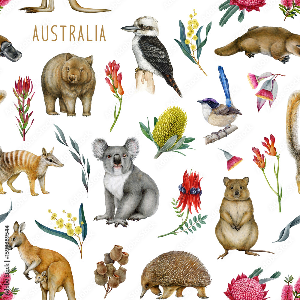 Obraz premium Australia native flora and fauna elements seamless pattern for fabric printing. Hand drawn koala, kangaroo, quokka, platypus, kookaburra with native flowers on white background