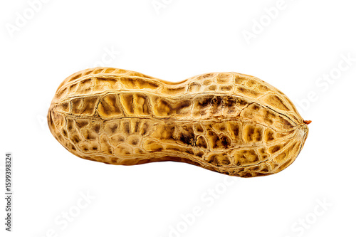 A Single, Roasted Peanut in its Shell, Ready to Eat