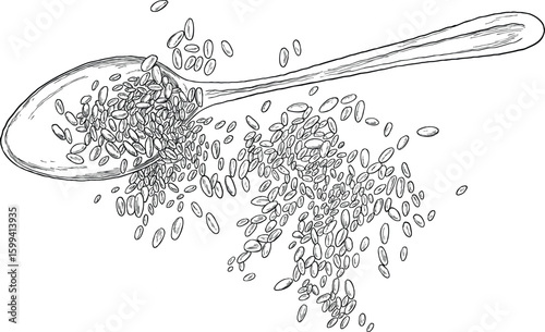 grains seed in spoon sketch hand drawing