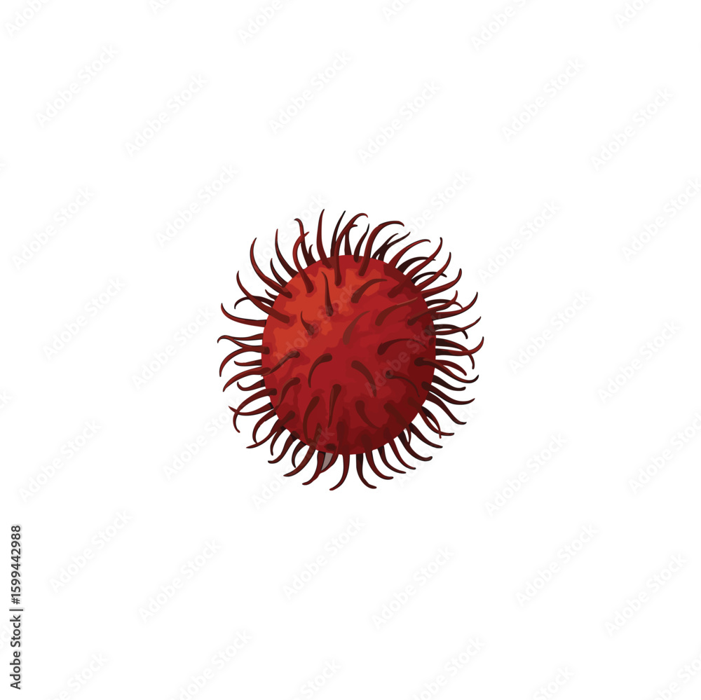 Fototapeta premium Red rambutan fruit with spiky skin isolated on white background