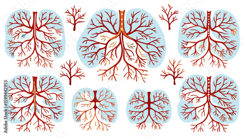 Lung Tree Branch Root Vector Illustrations