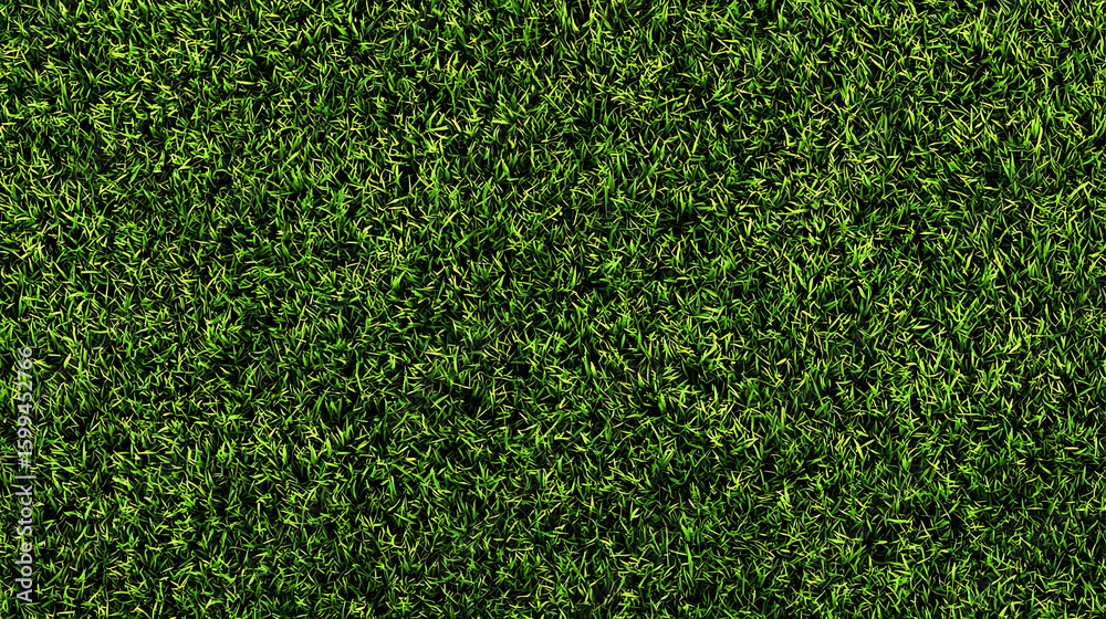 Fototapeta premium Seamless Green Grass Texture – Top View 