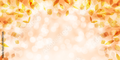 紅葉　秋　葉　背景