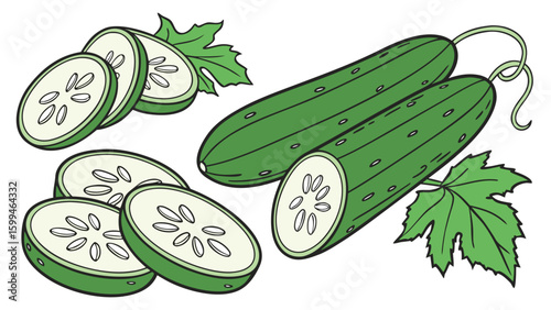 vector  showing whole cucumbers and cucumber slices with green leaves around them