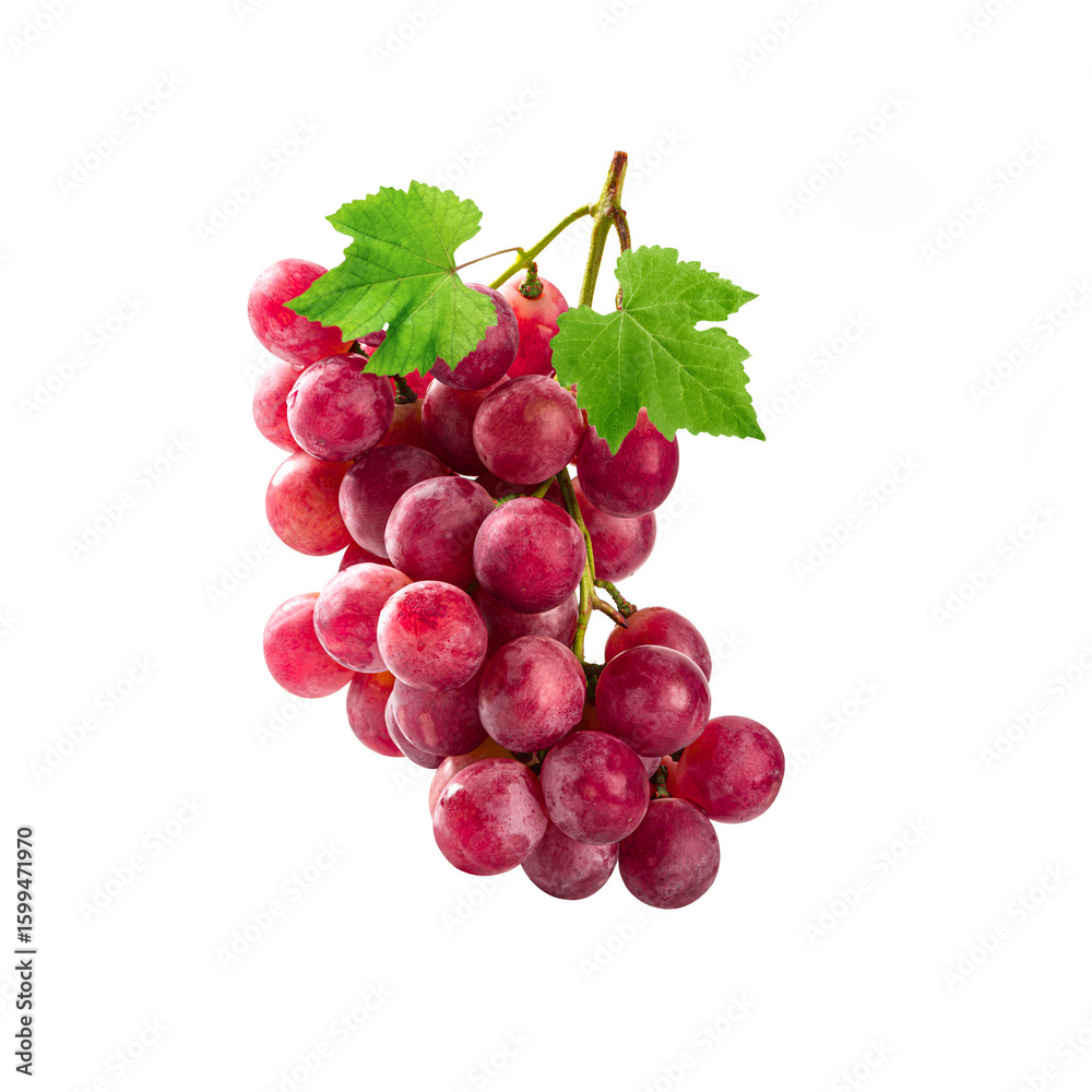 Obraz premium Bunch of red grapes with leaves isolated on white background.
