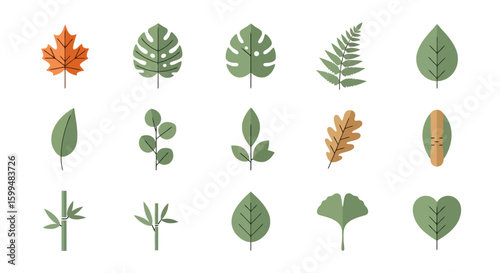 Diverse Leaf Collection: Botanical Flat Vector Icons