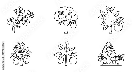 Illustration of six fruit bearing trees including apple lemon and berry trees in outline drawing style