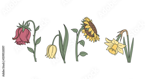 Illustration of five wilting flowers including a rose, tulip, sunflower and daffodil in a row format