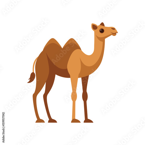 Brown Camel Standing Vector Illustration – Middle Eastern Desert Animal