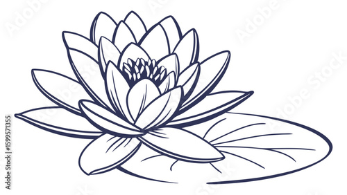 Elegant Water Lily Flower and Leaf Outline Illustration.
