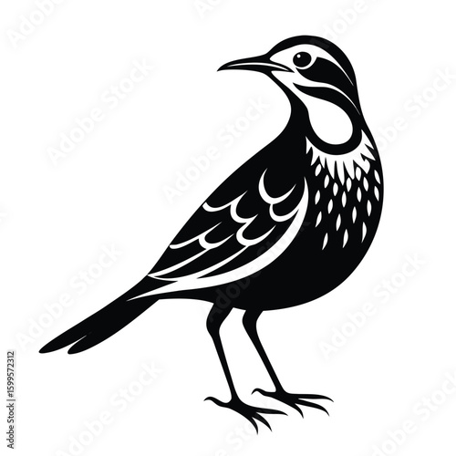 Agulhas Long-Billed Lark Bird – Unique Bird Illustration Vector
