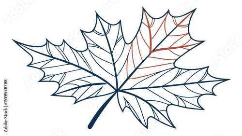 Stylized Maple Leaf Outline with Partial Coloration.