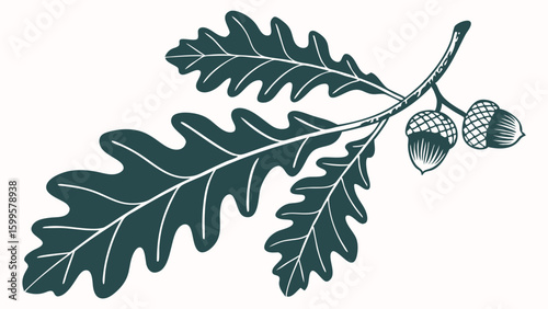 Stylized Oak Branch with Acorns and Leaves Illustration.