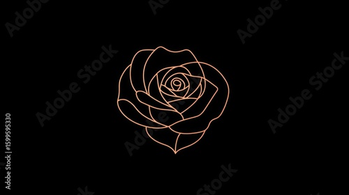 Elegant, outlined rose design on a dark background.