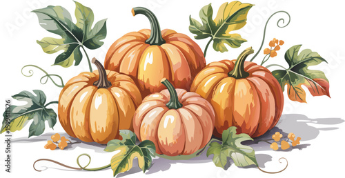 Watercolor Pumpkins with Leaves Autumn Harvest Still Life, Fall Season Illustration
