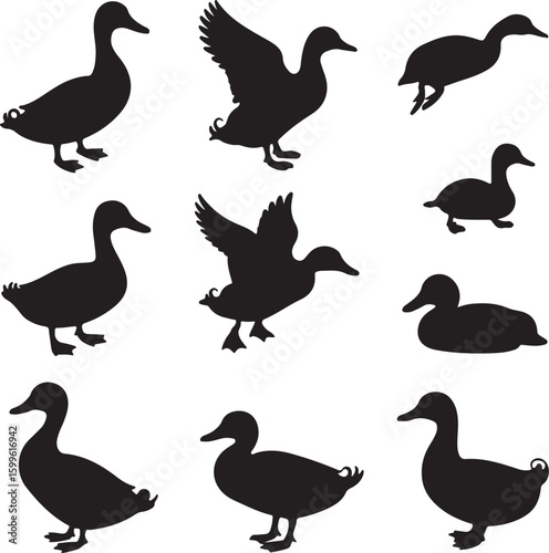 Black duck silhouettes in various poses waterfowl bird